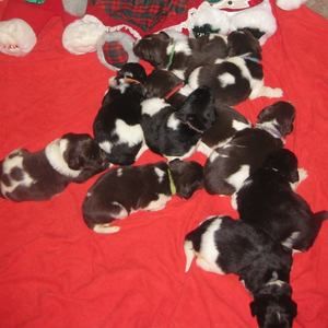 Meet your Posher, Christy